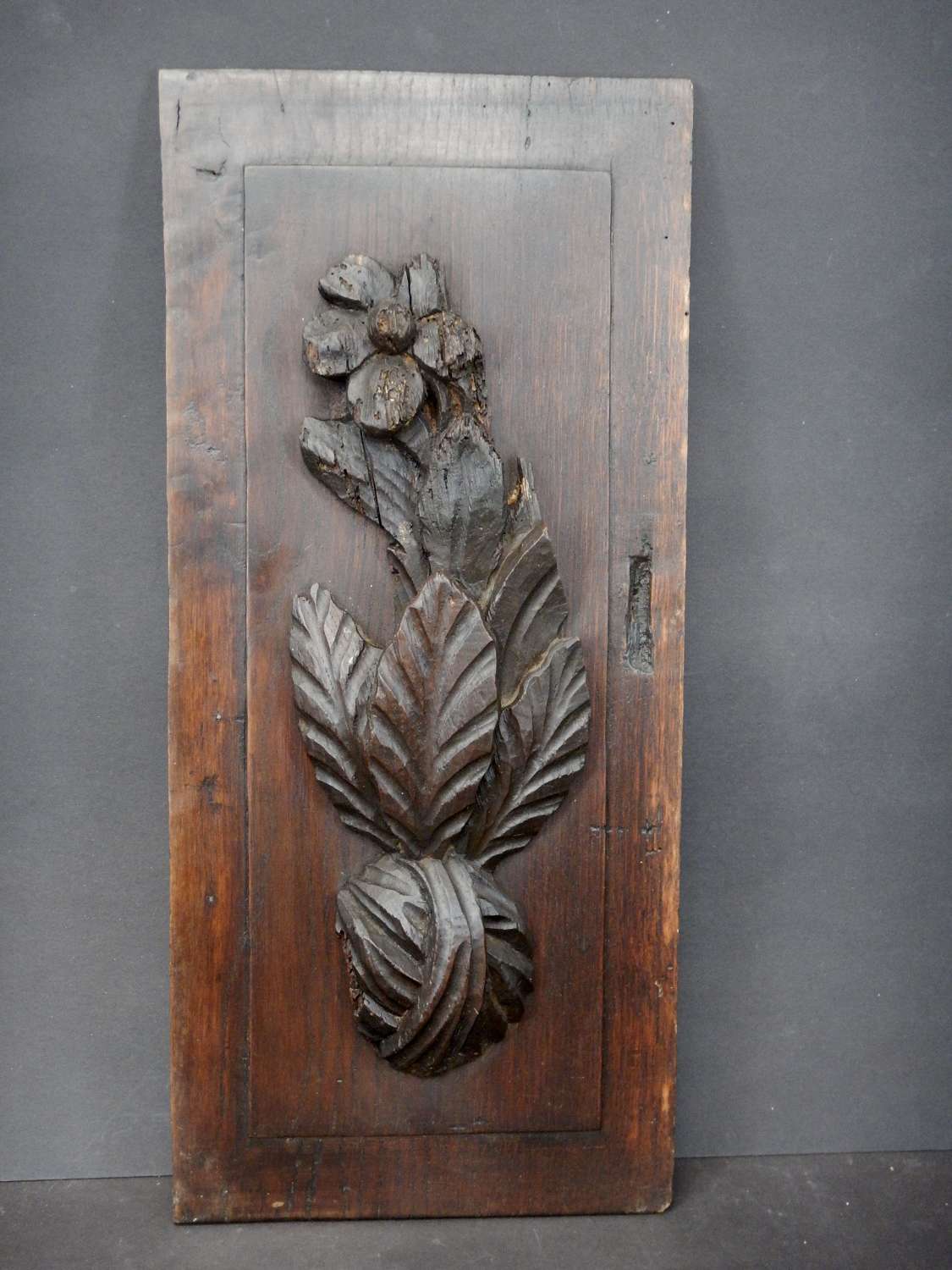Antique French Carved Decorative Panel from Cardinal Richelieu's town