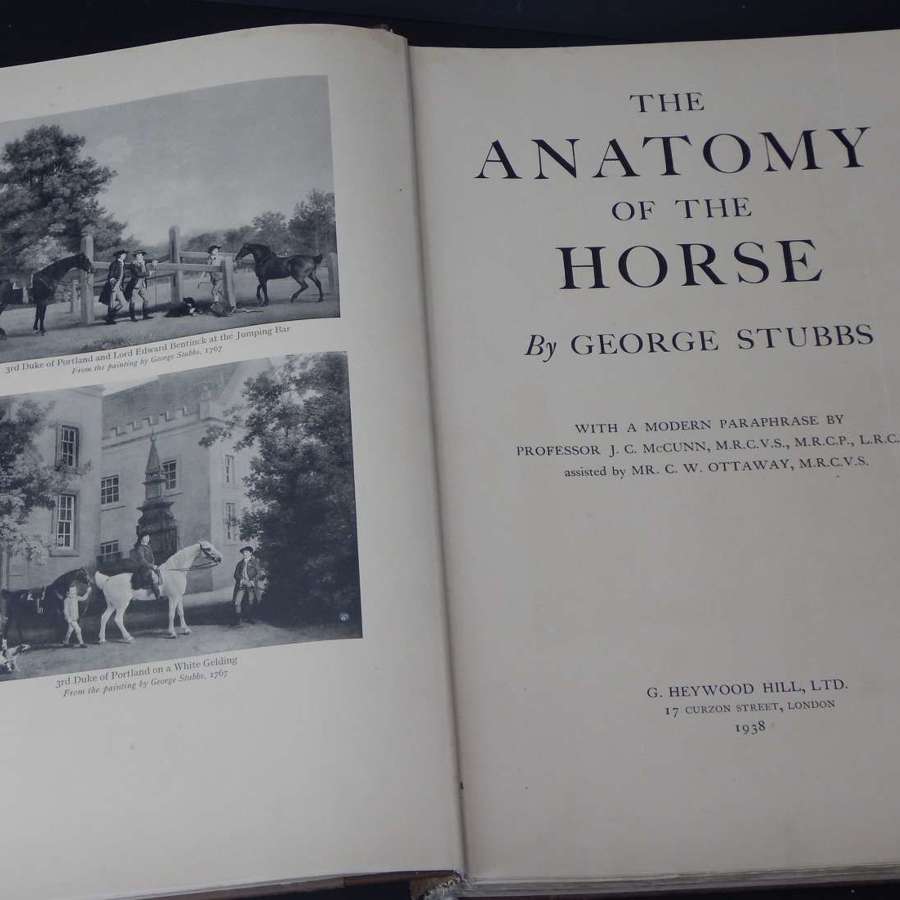 AMAZING The Anatomy of a Horse by George Stubbs - 4th edition 1938