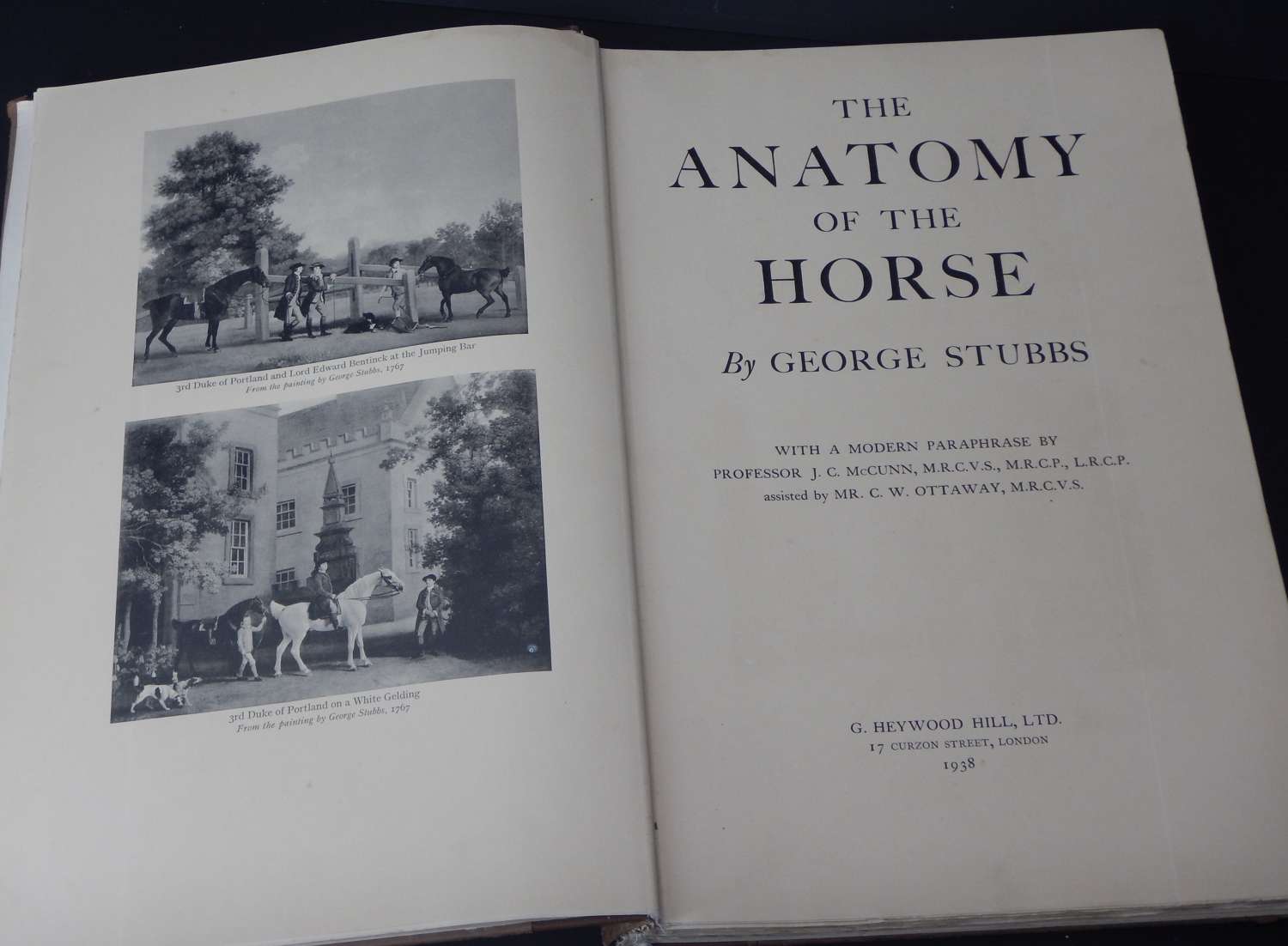 AMAZING The Anatomy of a Horse by George Stubbs - 4th edition 1938