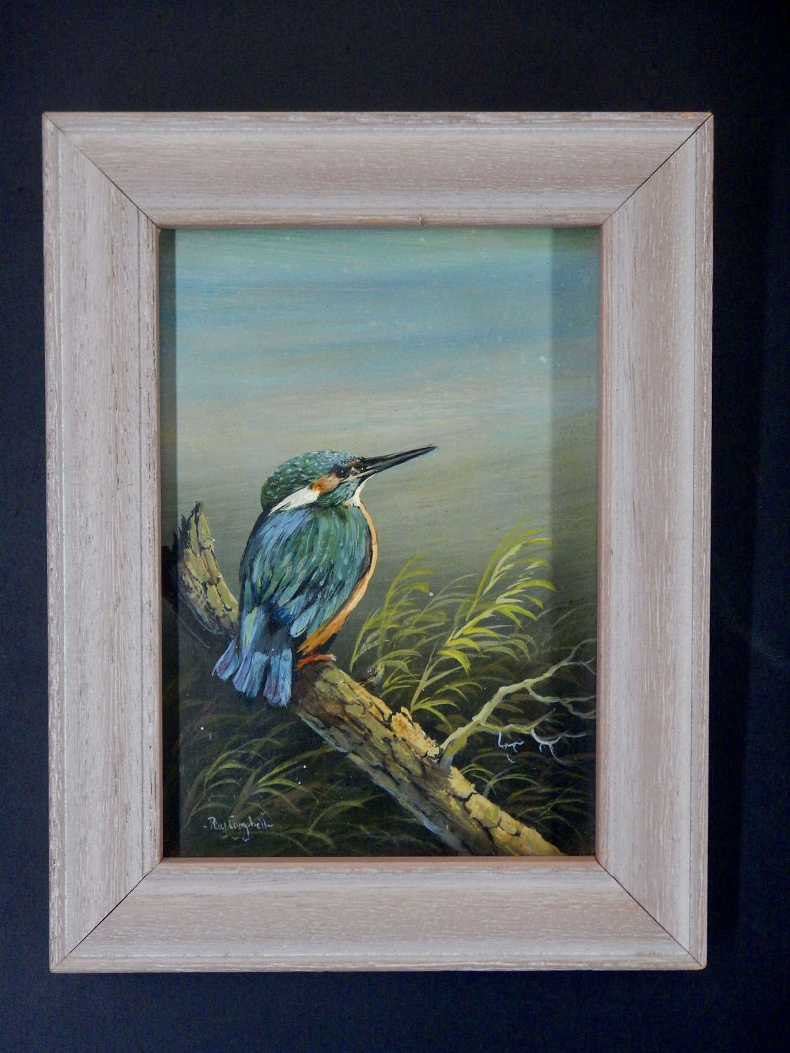 Original KINGFISHER Oil Painting by Renown Artist Raymond Campbell