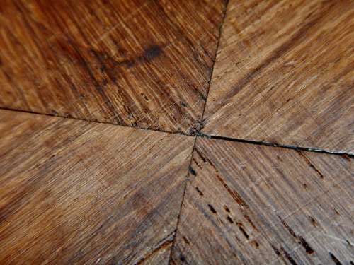 Burl or Burr Walnut 12